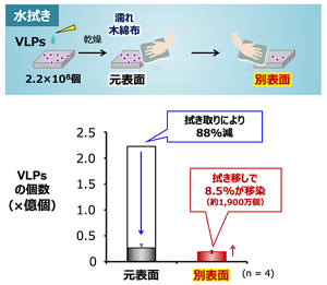 水拭きは元表面の除染効果が不十分な上に、むしろ別表面にウイルスを移す効果が大きかった。