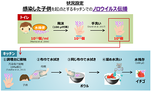 ノロウイルスの伝播のしかたを調べるための場面設定。感染した子どもを起点とし、調理台、ふきんによる水拭きなどを経て最終的にイチゴに残存するウイルスの数量を評価した。