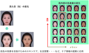メラニンとヘモグロビン、それぞれが肌の見え方(顔の印象)に与える影響をシミュレートできる。