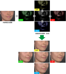 4色の反射光モデルの組み合わせを肌内部からの散乱稿画像に重ね合わせることで、どのような「見え」になるかをバーチャルにシミュレートできる。