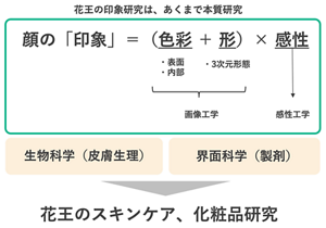 花王では「色彩」「形」「感性」という3つの視点から顔の印象に関する包括的な研究を進めている。