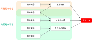 「若々しさの多様さ」を理解するために、外見的な若さに加えて内面的な若さまで拡張した概念図。