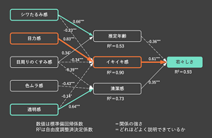 顔特徴の因子としては「シワたるみ感」「目力感」「目周りのくすみ感」「色ムラ感」「透明感」の5つ。顔の特徴と印象の関係性として、「イキイキ感」に最も関わるのは「目力感」だった。