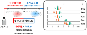 達成した分離方法。分子種分離カラムとキラル分離カラムの2本を直列につなぎ、所要時間を約20分と大幅に短縮することで圧倒的なハイスループット性を実現した。
