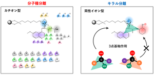 多様な相互作用を備えるキラルカラムだからこそ、20種の分子種分離が可能になったと考えられる。