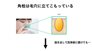 毛穴に立てこもった角栓には洗浄剤も摩擦力も届かない。抜き出して石けん液に浸してもびくともしない。