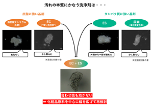 皮脂に強い洗浄剤と蛋白質に強い洗浄剤を組み合わせて使っても効き目がなかった。