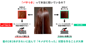 うるおっていると感じられる髪は、髪1本1本がキレイに並び、手で触ったときに冷たく感じる。毛流れが揃った髪は、揃っていない髪に比べて触ったときの接触面が大きく、体温の移動も大きくなるため。