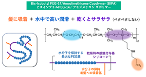見出されたBIPAポリマーの構造。髪に吸着する部分、水中で高い潤滑性を発揮する部分、そして乾くとサラサラとして感触を与える部分の三つから構成されている。