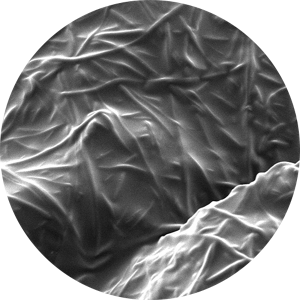 ファインファイバーと製剤の組合せからなる被膜の顕微鏡写真