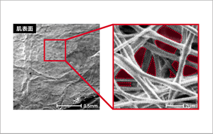 極細繊維がつくる立体構造膜の細かな隙間の画像