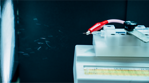 溶液を対象物の表面に噴射している様子