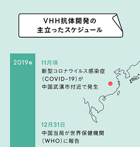 VHH抗体開発の主だったスケジュール  2019年 11月頃 新型コロナウイルス感染症の発生 12月31日 中国当局が世界保健機構(WHO)に報告