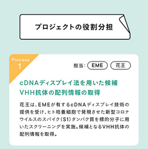プロジェクトの役割分担  ①EME社、花王 cDNAディスプレイ技術(EMEより提供)を元に、花王が新型コロナウイルスのスパイクタンパク質を標的分子にスクリーニングを実施。候補配列情報を取得