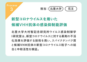 ③北里大学、花王 北里大学の新型コロナウイルスに対する薬剤の不活化効果を評価する技術を用い、スパイクタンパク質と候補VHH抗体の新型コロナウイルス粒子への結合と中和活性を検証(感染抑制能評価)