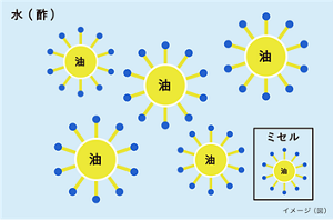 「ミセル」を形成するイメージ図
