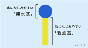 水になじみやすい「親水基」と、油になじみやすい「親油基」の2つの部分を持った構造の界面活性剤のイメージ図