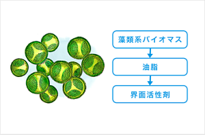 藻類系バイオマスのイメージイラスト 藻類系バイオマスから、油脂が採取され、界面活性剤が作られる