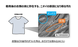 着用後の衣類の奥に存在する、ニオイの原因になり得る汚れ 着用後の衣類の中にタンパク、皮脂 皮脂などの油汚れがついた布は、水だけでは浸み込みにくい