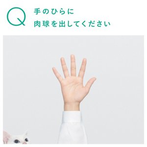 手のひらに肉球を出してください
