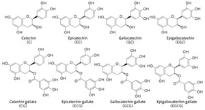 図1 茶カテキンの構造を示す図。カテキン、エピカテキン、ガロカテキン、エピガロカテキン、カテキンガレート、エピカテキンガレート、ガロカテキンガレート、エピガロカテキンガレートの構造式が示されている。