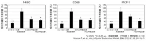図4 15週間のコーヒーポリフェノール摂取がマウスの白色脂肪組織における炎症反応に与える影響を示す棒グラフ。F4/80、CD68、MCP-1の遺伝子発現量は、高脂肪食群に対してコーヒーポリフェノール配合群において抑制された。