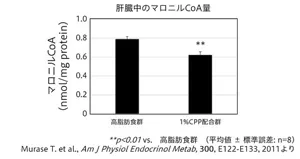 図5 マウスの肝臓におけるマロニルCoAの定量値を示した棒グラフ。1%CPP配合群では高脂肪食群に比べて肝臓のマロニルCoAの量が少なかった。