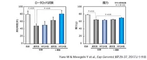 図6 MFGM摂取と軽運動の併用がマウスのバランス・敏捷性および握力に与える効果を示す棒グラフ。バランス・敏捷性はロータロッド試験を用いて評価した。MFGM摂取と軽運動を併用した群では、通常食群に比べて、ロータロッド試験滞在時間と握力が有意に改善された。