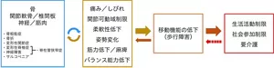 図1 ロコモティブシンドロームの概念図。 運動にかかわる器官である筋肉/神経、関節軟骨/椎間板、骨に障害が起きると、痛みや関節可動域制限や柔軟性低下などが起き、移動機能の低下すなわち歩行障害が起こり、ひいては生活活動や社会参加が制限され、要介護につながる。これら一連の概念をロコモティブシンドロームと呼ぶ。