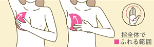 イラスト:指全体でバスト全体をチェック