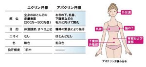 image-03