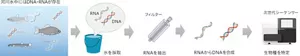河川水に含まれるRNAからDNAを複製し、塩基配列を読み取ることで、河川に生息する生物の種類を特定します
