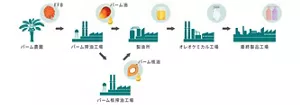 パーム油のサプライチェーンを示した図。 パーム農園から収穫された果実が、パーム搾油工場やパーム核搾油工場で搾油される。その後、製油所、オレオケミカル工場にて加工された油脂原料が最終製品に使用される。