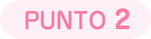 PUNTO 2