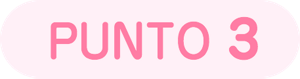 PUNTO 3