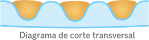 Diagrama de corte transversal
