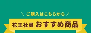 ご購入はこちらから。