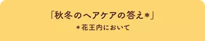 「秋冬のヘアケアの答え*」 *花王内において