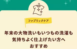 ファブリックケア。年末の大物洗いも、いつもの洗濯も気持ちよく仕上げたい方におすすめ。