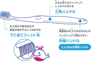 でこぼこフィット毛 生え変わり期の凹凸や奥歯の奥がやさしくみがける 三角ハンドル 小さな手にもフィットして、しっかりにぎれる 仕上げみがき兼用ハンドル 先細ハンドル 保護者が仕上げみがきのときペングリップで持ちやすい