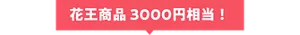 花王商品 3000円相当!