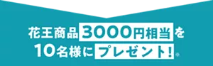 花王商品3000円相当を10名様にプレゼント!