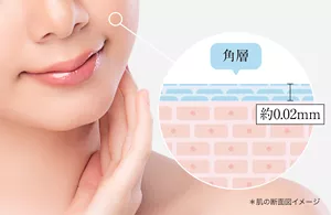 角層約0.02mm *肌の断面図イメージ