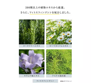 500種以上の植物エキスから厳選。 さらに、フィトスフィンゴシンも新たに配合しました。