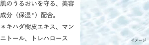 肌のうるおいを守る、美容成分(保湿*)配合。 *キハダ樹皮エキス、マンニトール、トレハロース