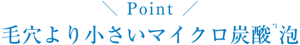 Point 毛穴より小さいマイクロ炭酸*1泡