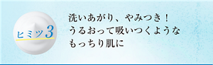 ヒミツ3 洗いあがり、やみつき! うるおって吸いつくようなもっちり肌に