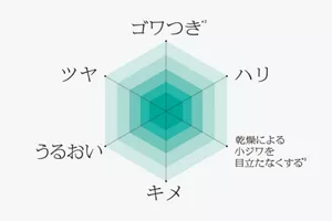ゴワつき*2 ハリ 乾燥による小ジワを目立たなくする*3 キメ うるおい ツヤ