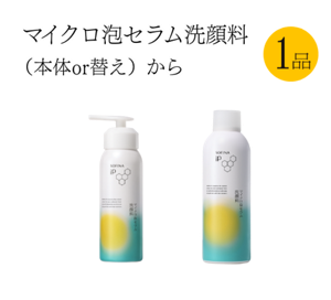 マイクロ泡セラム洗顔料(本体or替え)から1品