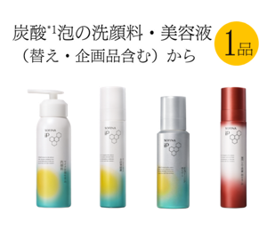 炭酸泡洗顔料・美容液(替え・企画品含む)から1品